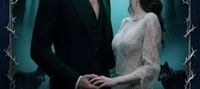 Marked Twice by the Alpha King
